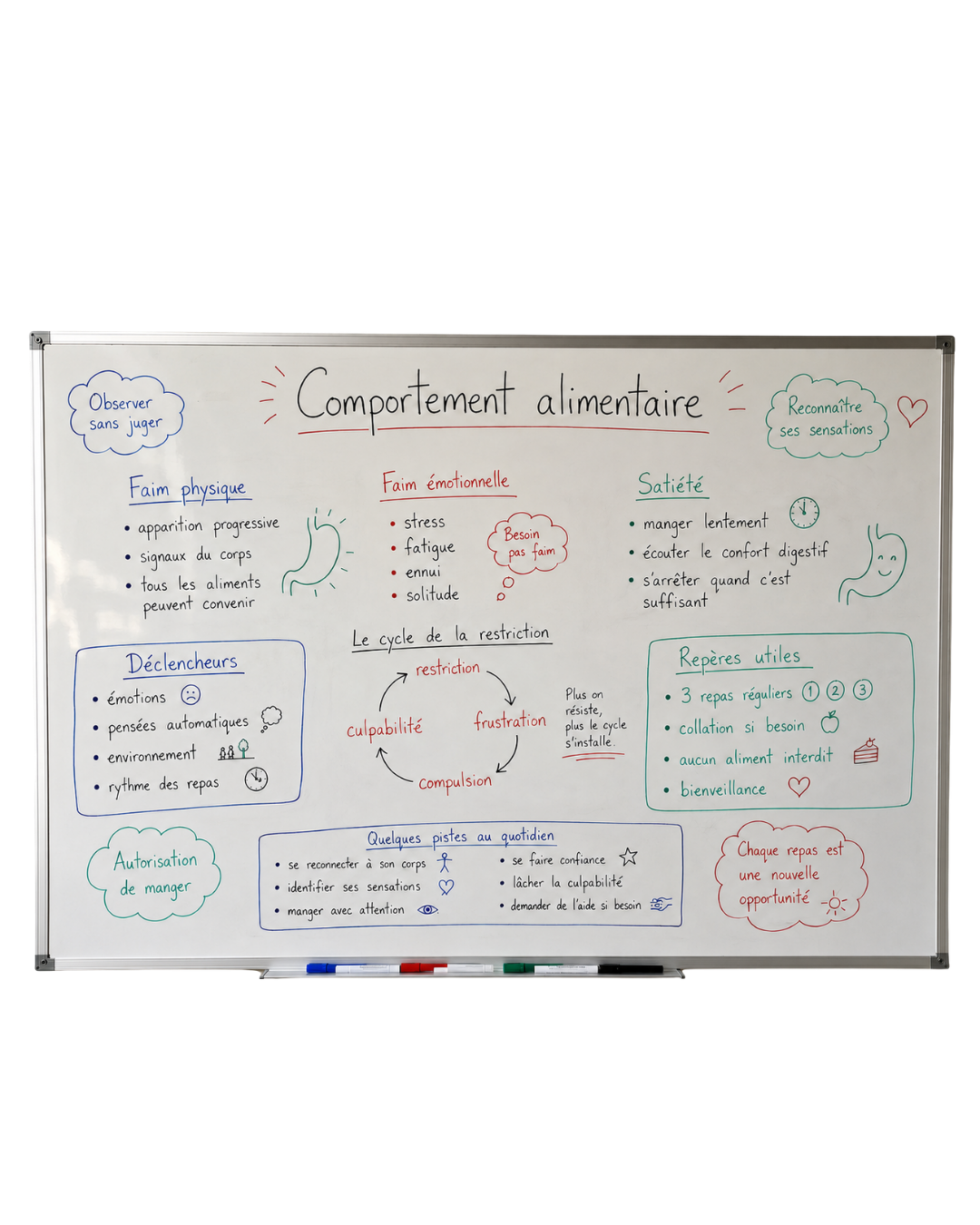 Tableau blanc — comportement alimentaire, repères de l'accompagnement